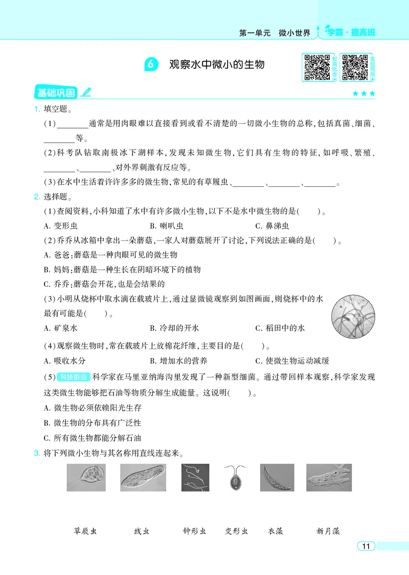 六年级科学上册教科版25秋《4星学霸提高班》_25秋小学语数英习题试卷_科学_教科版小学科学[4星学霸提高班]