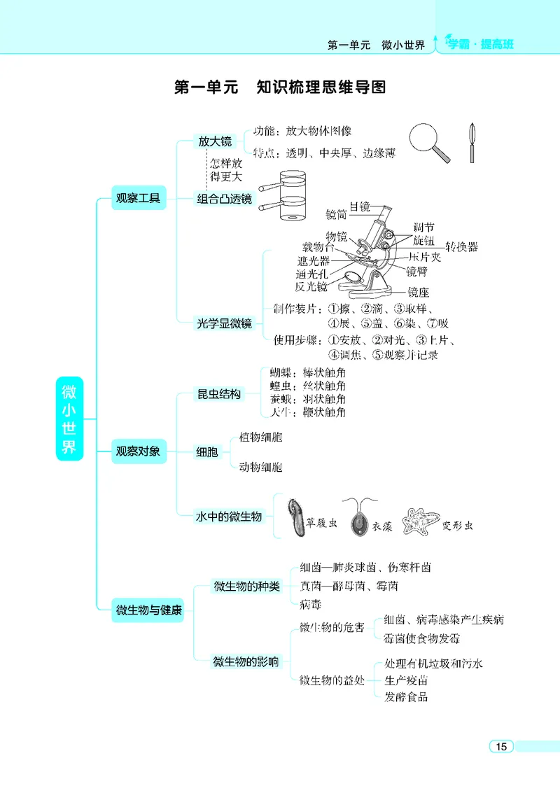 六年级科学上册教科版25秋《4星学霸提高班》_25秋小学语数英习题试卷_科学_教科版小学科学[4星学霸提高班]