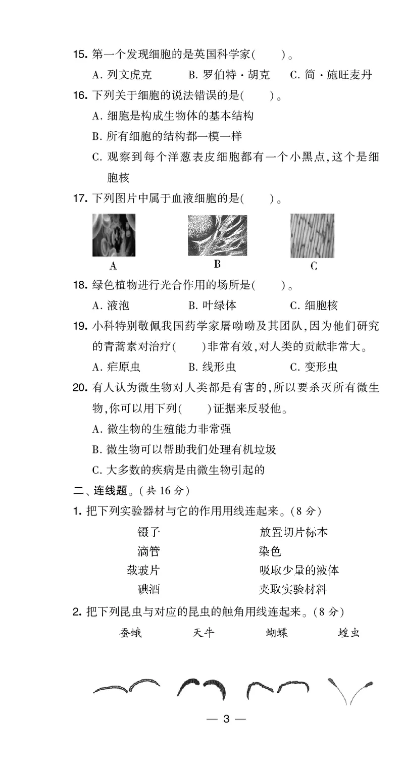六年级科学上册教科版25秋《4星学霸提高班》_25秋小学语数英习题试卷_科学_教科版小学科学[4星学霸提高班]