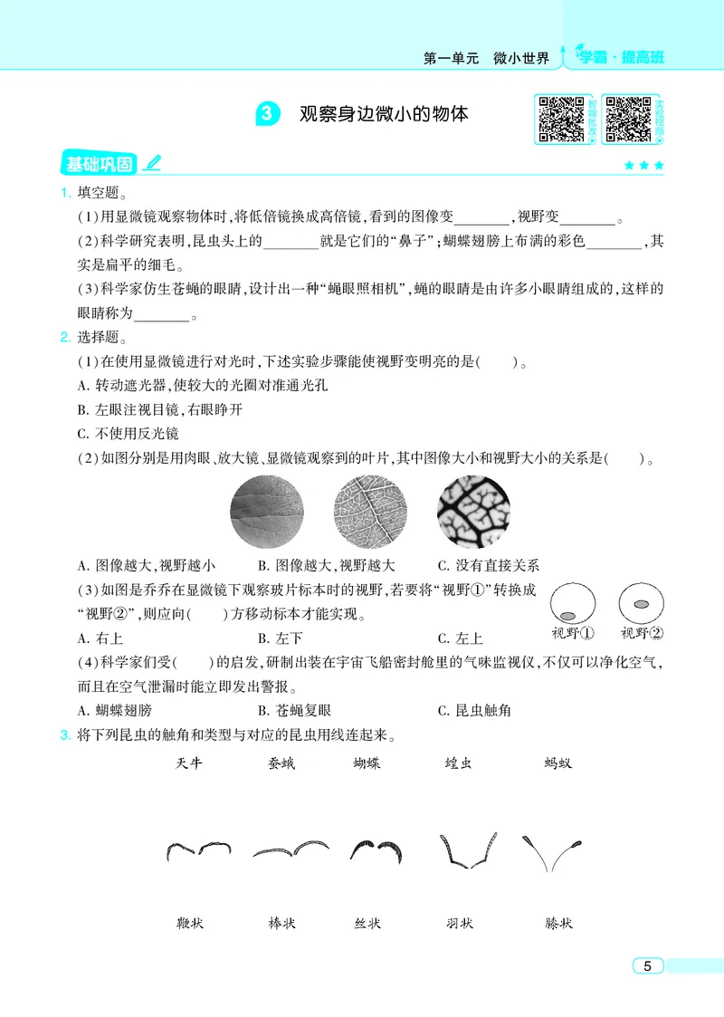 六年级科学上册教科版25秋《4星学霸提高班》_25秋小学语数英习题试卷_科学_教科版小学科学[4星学霸提高班]