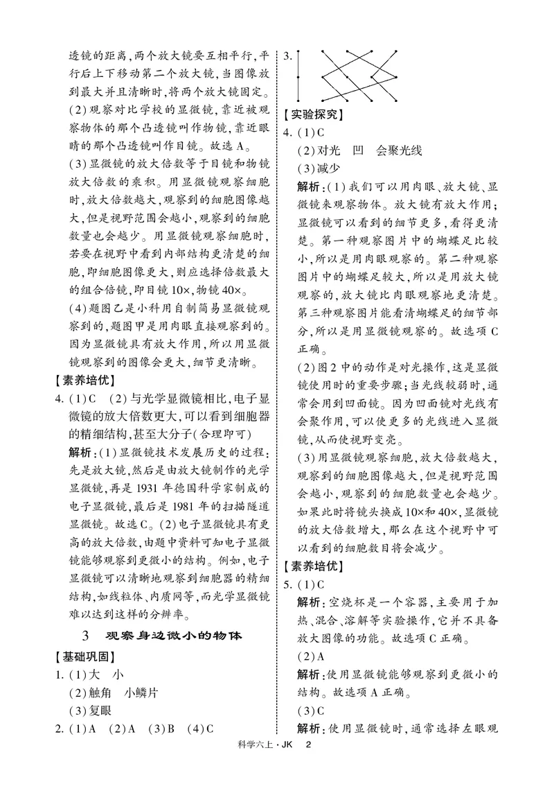 六年级科学上册教科版25秋《4星学霸提高班》_25秋小学语数英习题试卷_科学_教科版小学科学[4星学霸提高班]