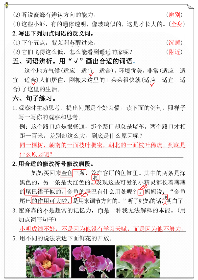 第四单元必考考点通关练-空白+答案_三年级上下册资料_小学三年级学习资料-25年更新版_3-02、小学三年级语文下册_3-2-2、练习题、作业、试题、试卷_单元测试卷
