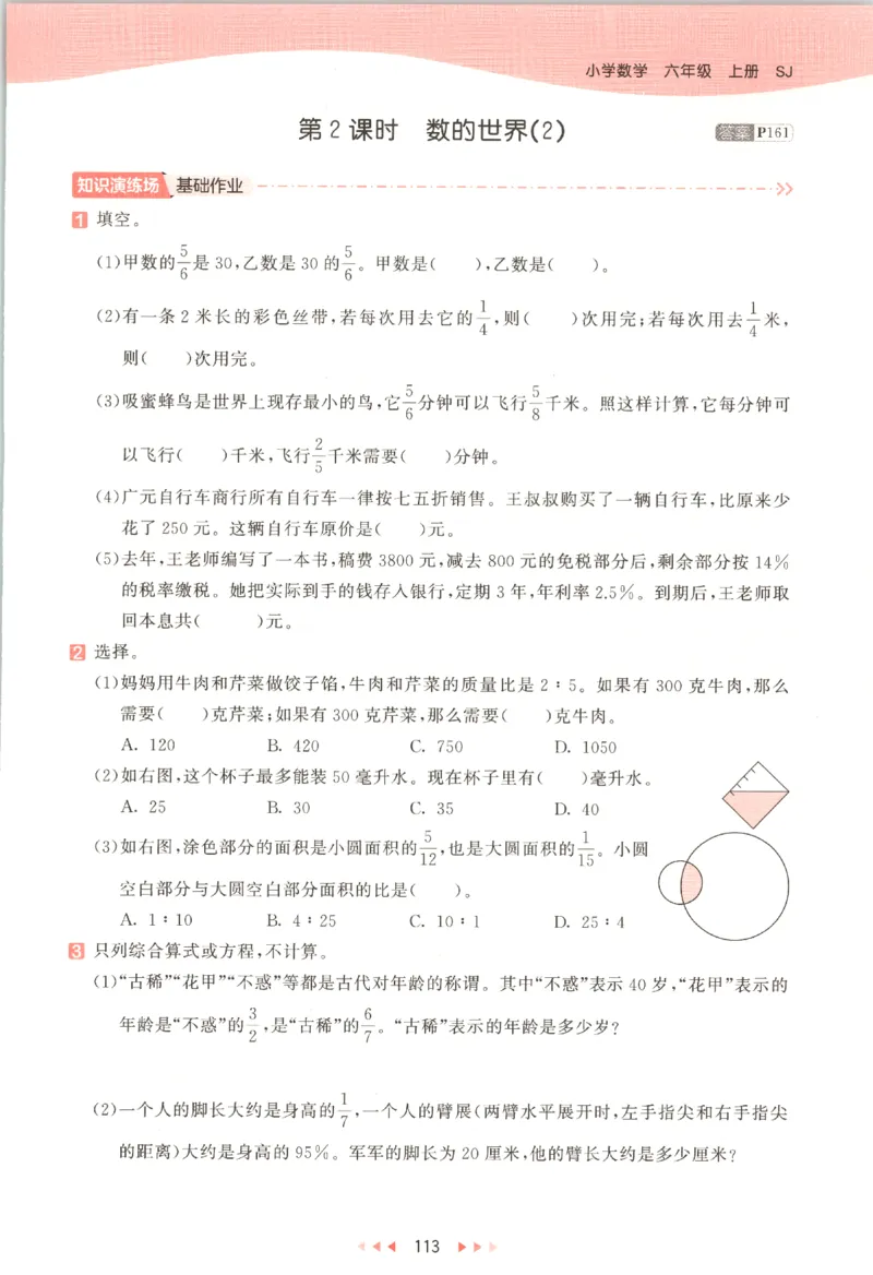 六年级数学上册苏教版25秋《53天天练》_25秋小学语数英习题试卷_数学_苏教版_1-6年级数学上册苏教版25秋《53天天练》_六年级数学上册苏教版25秋《53天天练》