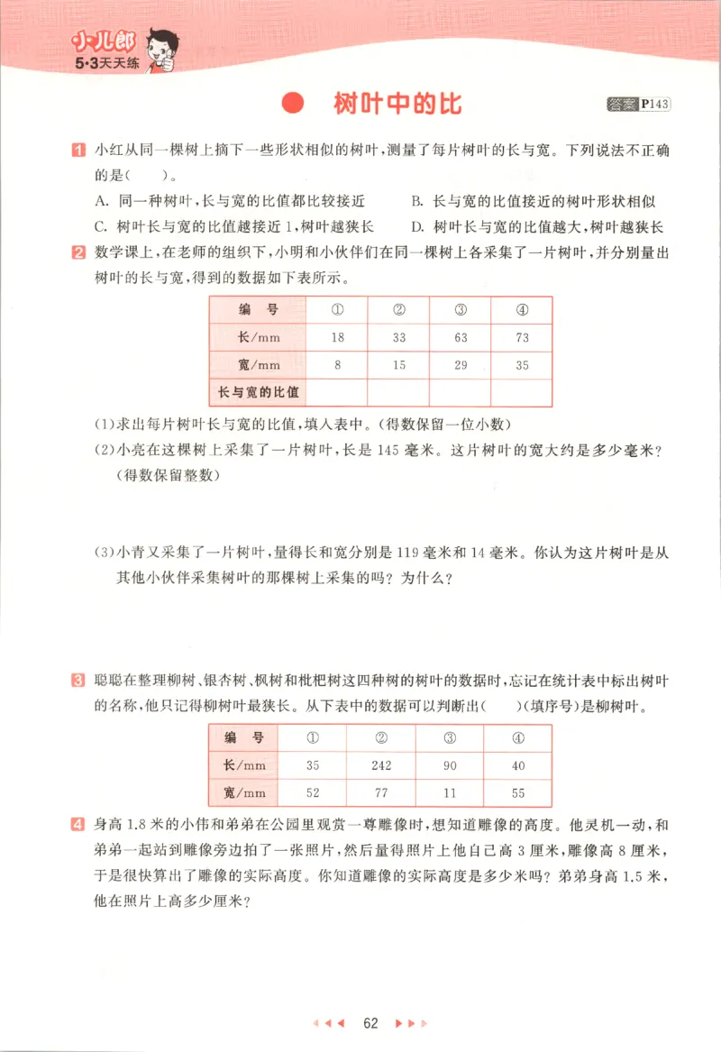 六年级数学上册苏教版25秋《53天天练》_25秋小学语数英习题试卷_数学_苏教版_1-6年级数学上册苏教版25秋《53天天练》_六年级数学上册苏教版25秋《53天天练》
