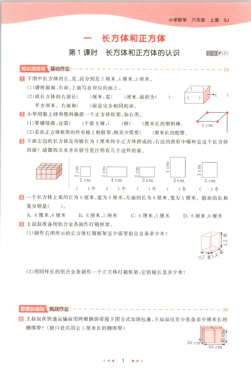 六年级数学上册苏教版25秋《53天天练》_25秋小学语数英习题试卷_数学_苏教版_1-6年级数学上册苏教版25秋《53天天练》_六年级数学上册苏教版25秋《53天天练》