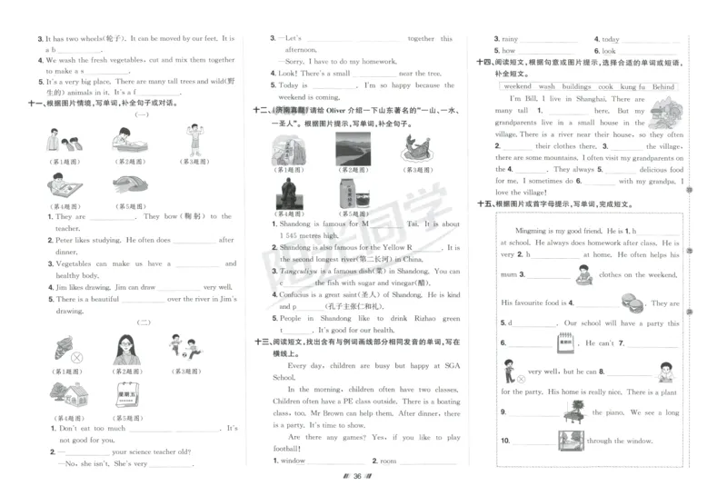 提优新卷_25秋小学语数英习题试卷_英语_人教版_英语《阳光同学提优新卷》人教25秋_提优新卷英语人教5