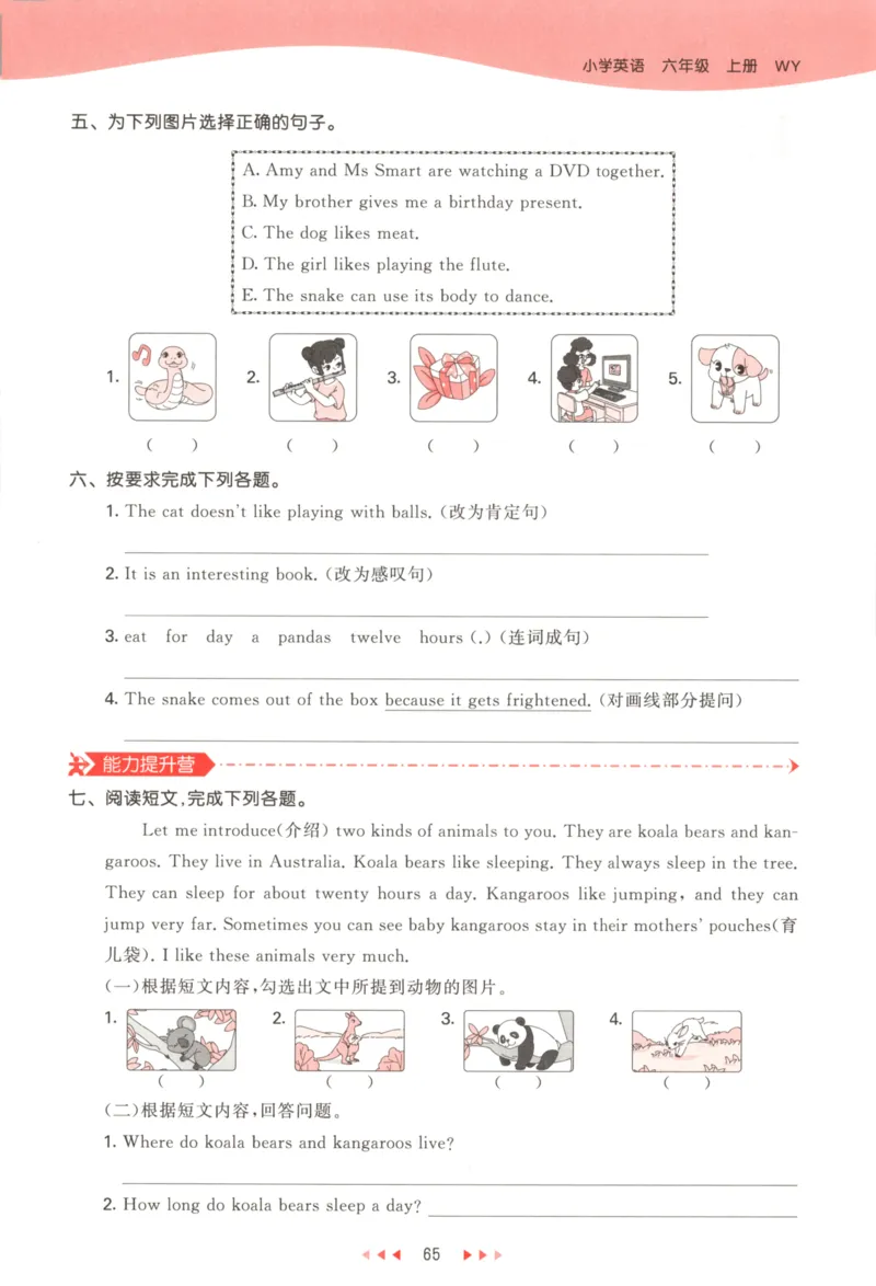 六年级英语上册外研版三起点25秋《53天天练》_25秋小学语数英习题试卷_英语_外研版_3-6年级英语上册外研版三起点25秋《53天天练》_六年级英语上册外研版三起点25秋《53天天练》
