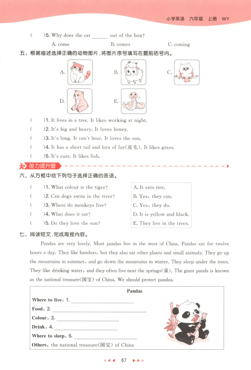 六年级英语上册外研版三起点25秋《53天天练》_25秋小学语数英习题试卷_英语_外研版_3-6年级英语上册外研版三起点25秋《53天天练》_六年级英语上册外研版三起点25秋《53天天练》