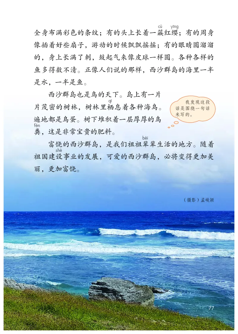 统编版三年级上册语文PDF电子课本_三年级上下册资料_小学三年级学习资料-25年更新版_3-01、小学三年级语文上册_3-1-4、电子教材、课本