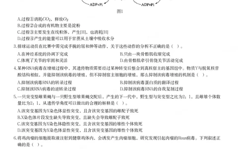 2023年下半年高中《生物》真题_教资_33教资笔试历年真题汇总（科一+科二+科三）_科三真题_02高中科三各科电子资料包合集_生物（资料文档）_高中生物_01科三真题