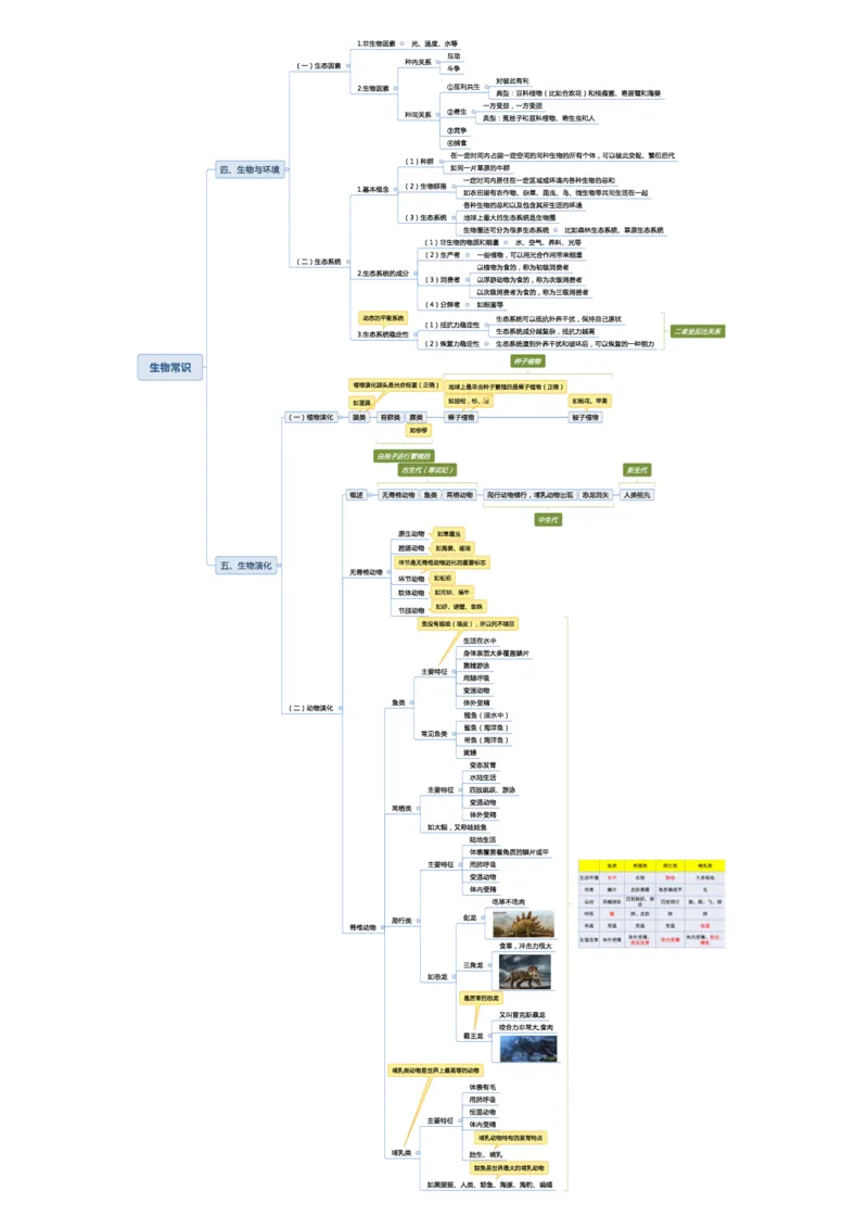 02不用打印文化素养思维导图考公版学有余力看即可_教资_2026coco教资笔试资料_26上中小学通用科一CocoPolarisの综合素质笔记_04文化素养的解释