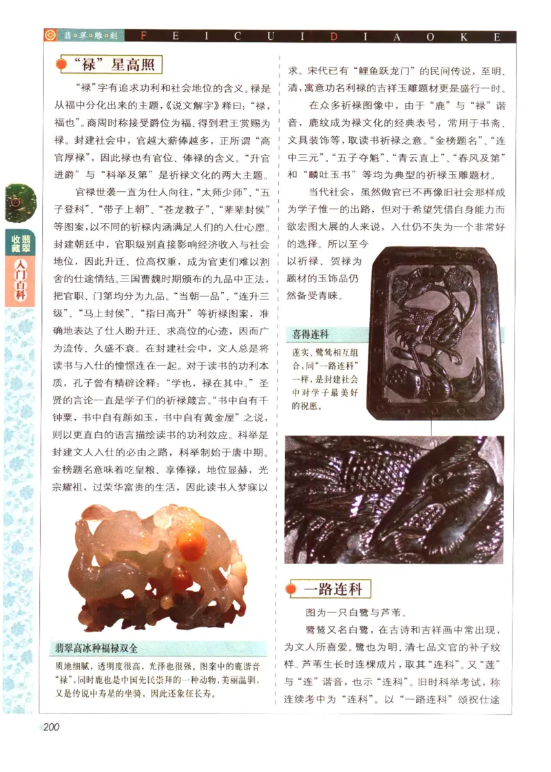 翡翠收藏入门百科_X018-玉石珠宝鉴定教程最新合集_6、翡翠鉴定专题全套课程_翡翠电子书_翡翠鉴赏_11-20