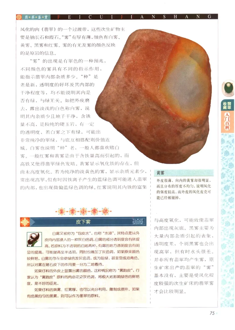 翡翠收藏入门百科_X018-玉石珠宝鉴定教程最新合集_6、翡翠鉴定专题全套课程_翡翠电子书_翡翠鉴赏_11-20
