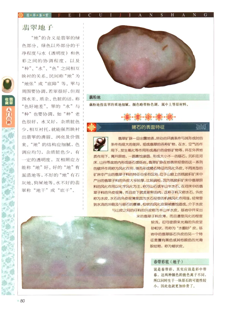 翡翠收藏入门百科_X018-玉石珠宝鉴定教程最新合集_6、翡翠鉴定专题全套课程_翡翠电子书_翡翠鉴赏_11-20