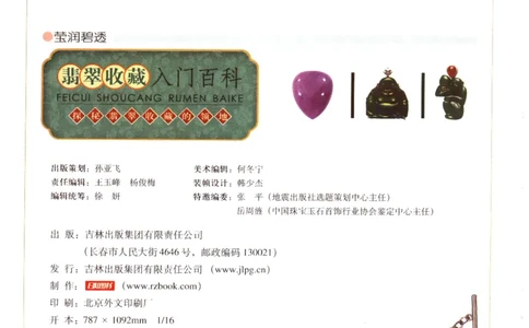 翡翠收藏入门百科_X018-玉石珠宝鉴定教程最新合集_6、翡翠鉴定专题全套课程_翡翠电子书_翡翠鉴赏_11-20