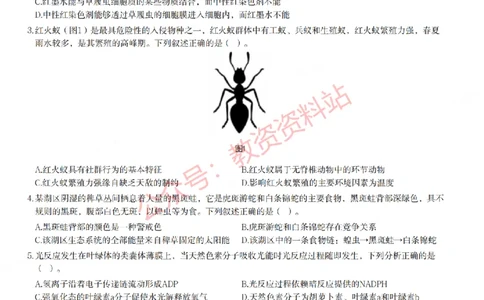 2023年上半年初中《生物》教师资格证笔试真题及答案解析_教资_33教资笔试历年真题汇总（科一+科二+科三）_科三真题_02初中科三各科电子资料包合集_生物（资料文档）