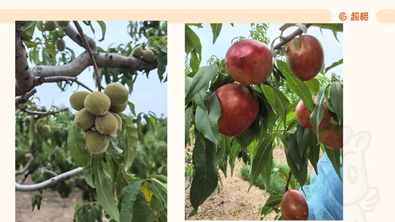 数量第2章方程问题_2026考公资料_超格合集_公考-理论班2026超格行测申论（六合一）理论实战班_数量关系拿分稳稳班（3+2）高照_课件