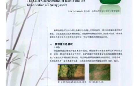 翡翠的颜色特征及染色翡翠的鉴别_X018-玉石珠宝鉴定教程最新合集_8、玉石翡翠鉴定与投资电子资料
