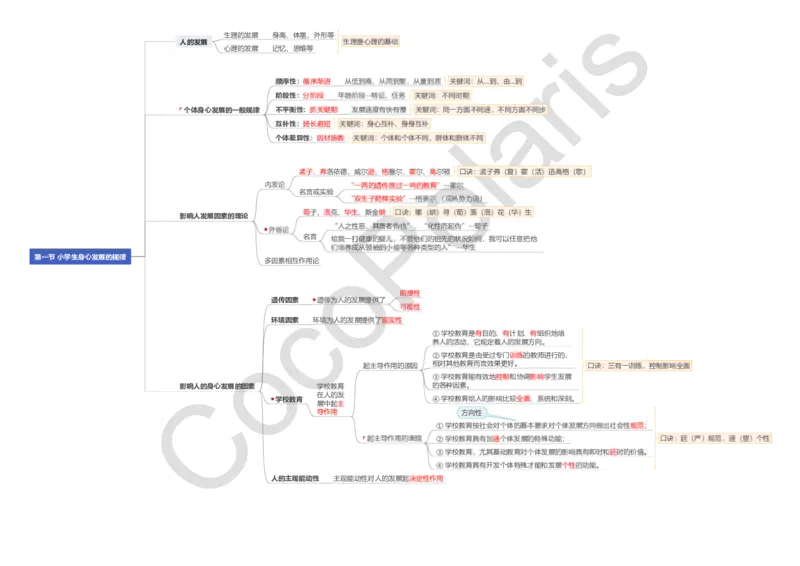 0226上小学科二CocoPolarisの小学教育知识与能力思维导图_教资_2026上半年中学教资笔试（更新中）_0926上coco教资笔记（中小学）_26年上coco小学教资
