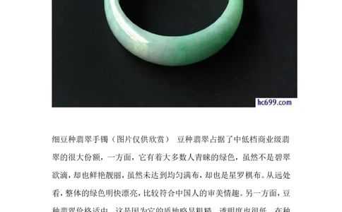 豆种翡翠_X018-玉石珠宝鉴定教程最新合集_8、玉石翡翠鉴定与投资电子资料_赌石专题