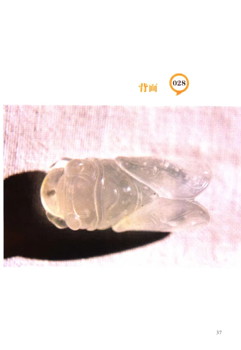 翡翠精品投资技巧-徐军_X018-玉石珠宝鉴定教程最新合集_6、翡翠鉴定专题全套课程_翡翠电子书_翡翠投资