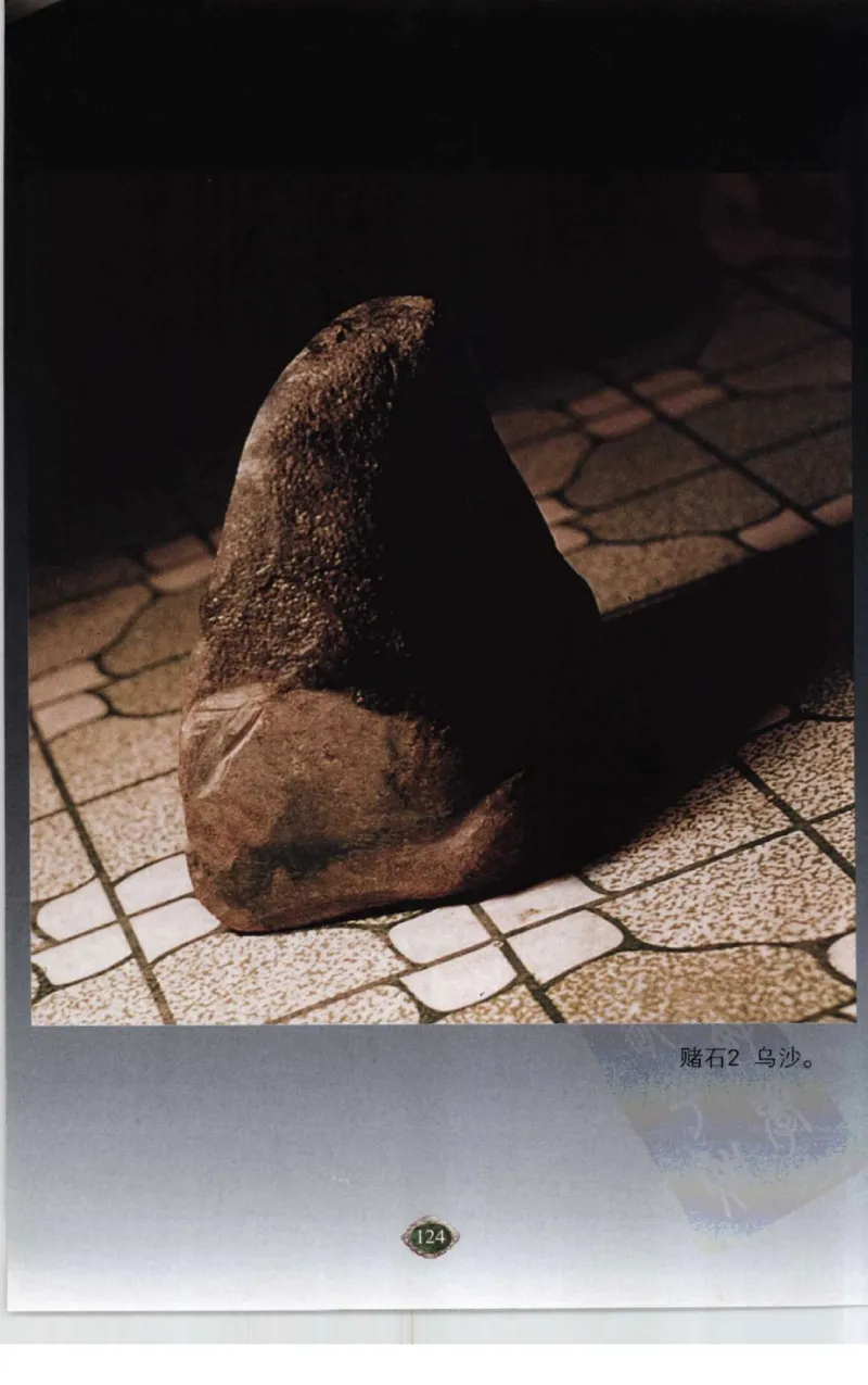 赌石2+以小博大赢天下---千元百元和无钱的赌石技艺..._X018-玉石珠宝鉴定教程最新合集_6、翡翠鉴定专题全套课程_翡翠电子书_翡翠投资