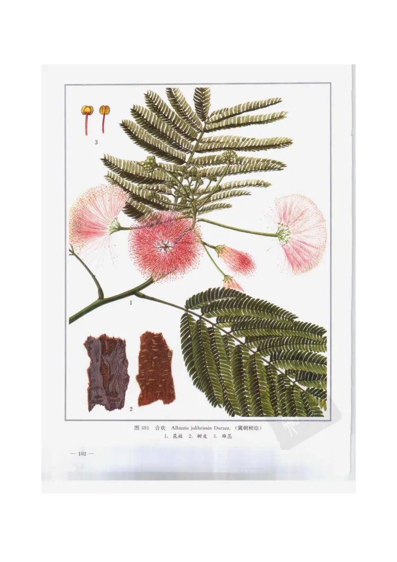 中国本草彩色图鉴（常用中药篇）（下卷）（钱信忠）_绝版书_天涯系列_t涯_绝版古籍电子书合集（13大类）_医书类_中国本草彩色图鉴（常用中药篇）_3册