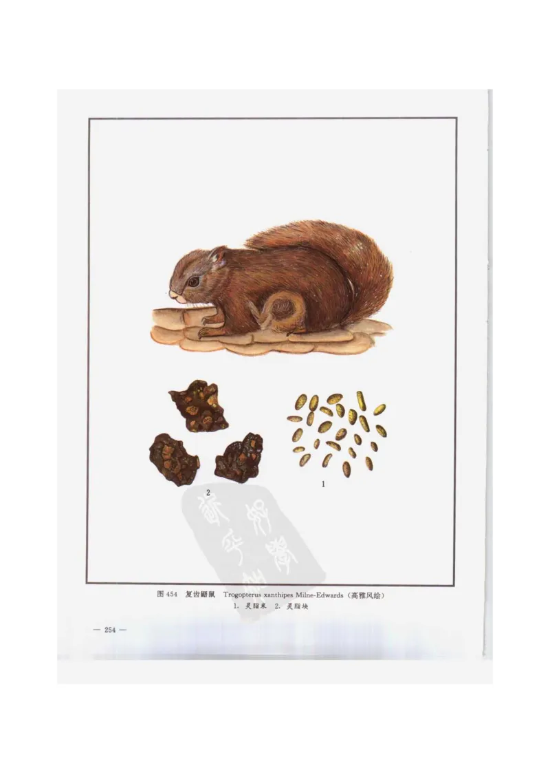 中国本草彩色图鉴（常用中药篇）（下卷）（钱信忠）_绝版书_天涯系列_t涯_绝版古籍电子书合集（13大类）_医书类_中国本草彩色图鉴（常用中药篇）_3册