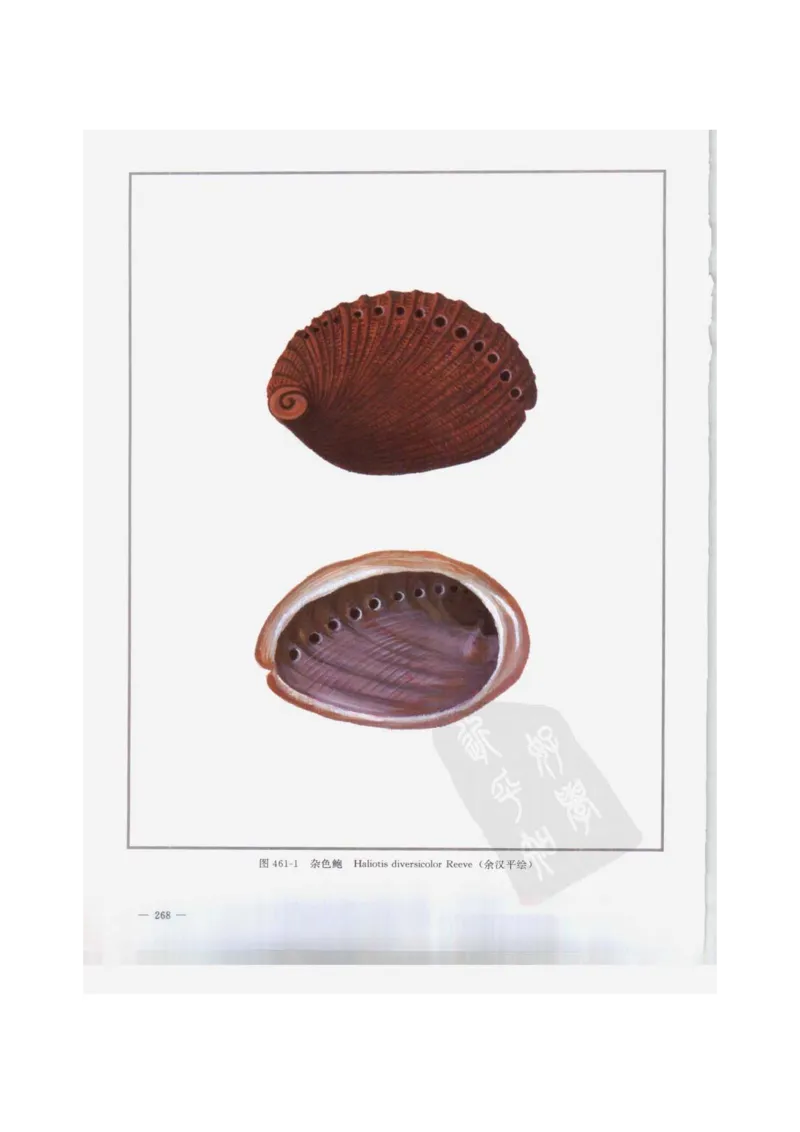 中国本草彩色图鉴（常用中药篇）（下卷）（钱信忠）_绝版书_天涯系列_t涯_绝版古籍电子书合集（13大类）_医书类_中国本草彩色图鉴（常用中药篇）_3册