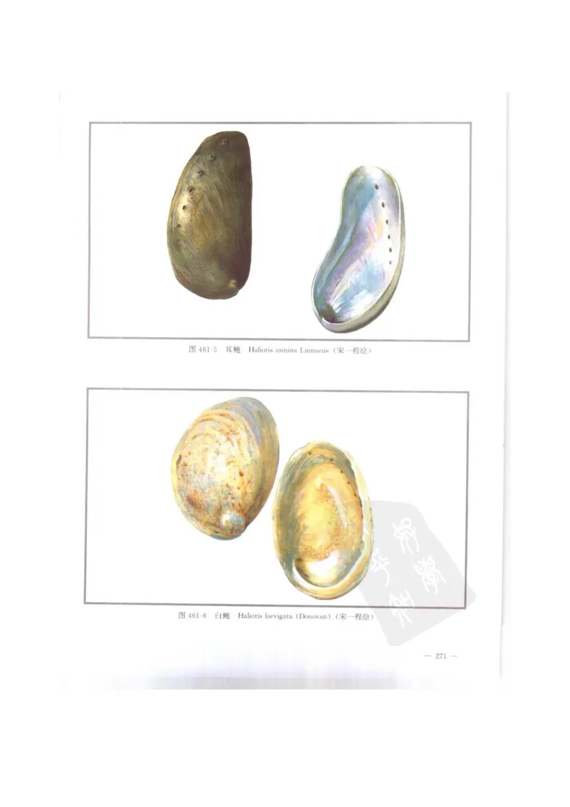 中国本草彩色图鉴（常用中药篇）（下卷）（钱信忠）_绝版书_天涯系列_t涯_绝版古籍电子书合集（13大类）_医书类_中国本草彩色图鉴（常用中药篇）_3册