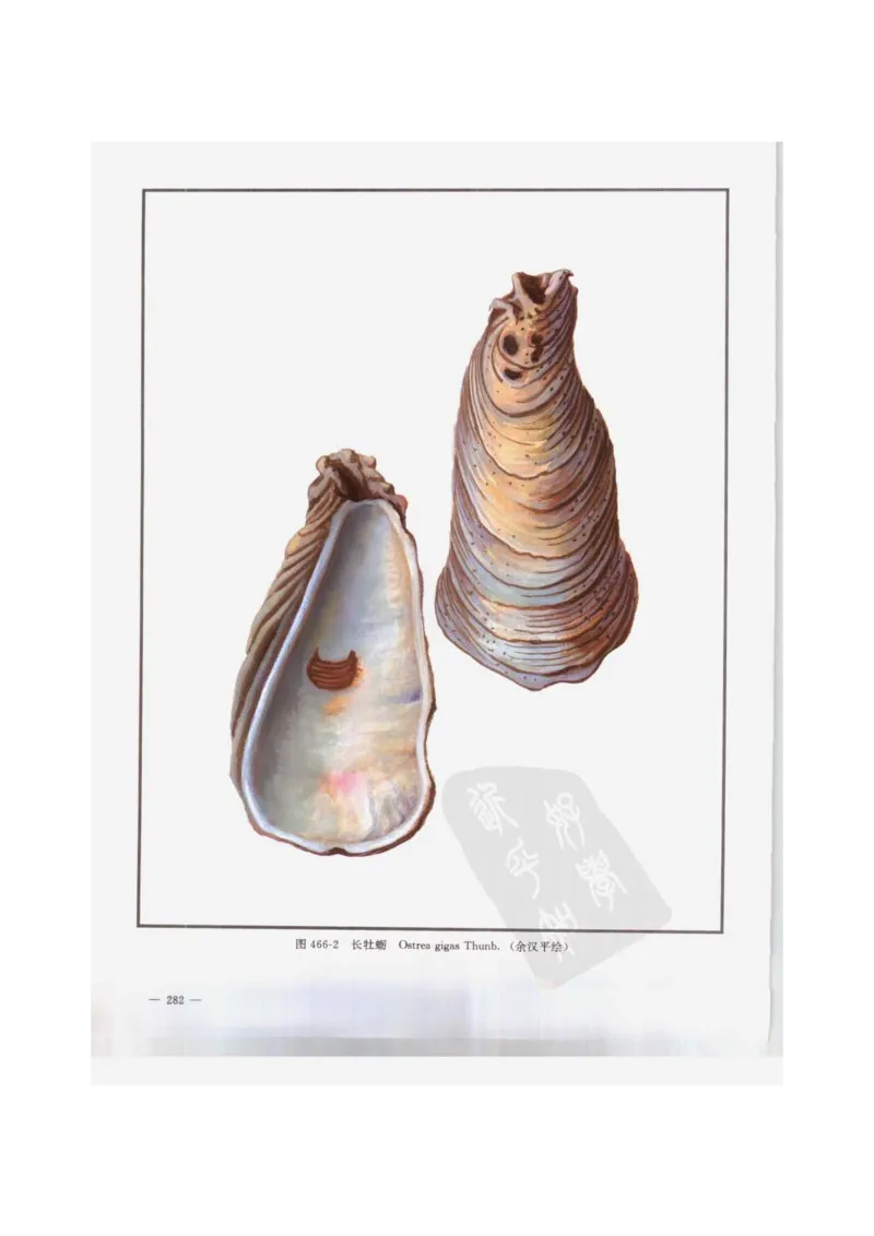 中国本草彩色图鉴（常用中药篇）（下卷）（钱信忠）_绝版书_天涯系列_t涯_绝版古籍电子书合集（13大类）_医书类_中国本草彩色图鉴（常用中药篇）_3册