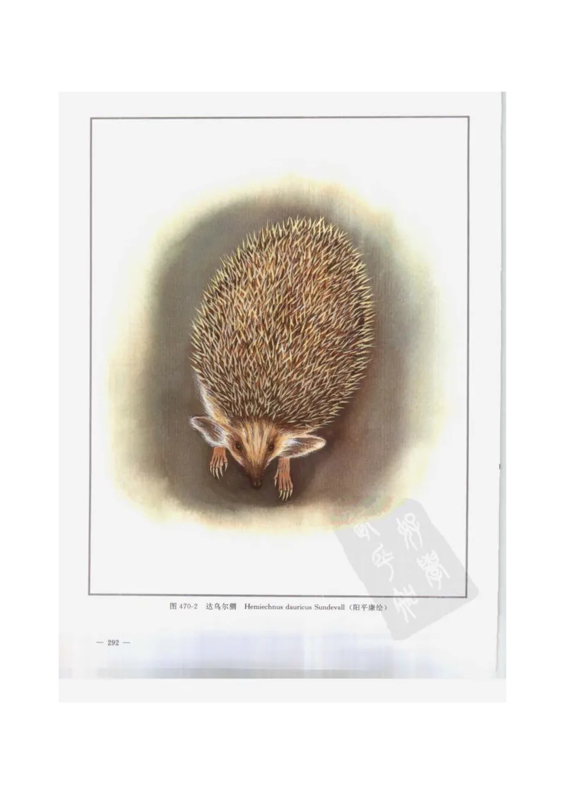 中国本草彩色图鉴（常用中药篇）（下卷）（钱信忠）_绝版书_天涯系列_t涯_绝版古籍电子书合集（13大类）_医书类_中国本草彩色图鉴（常用中药篇）_3册