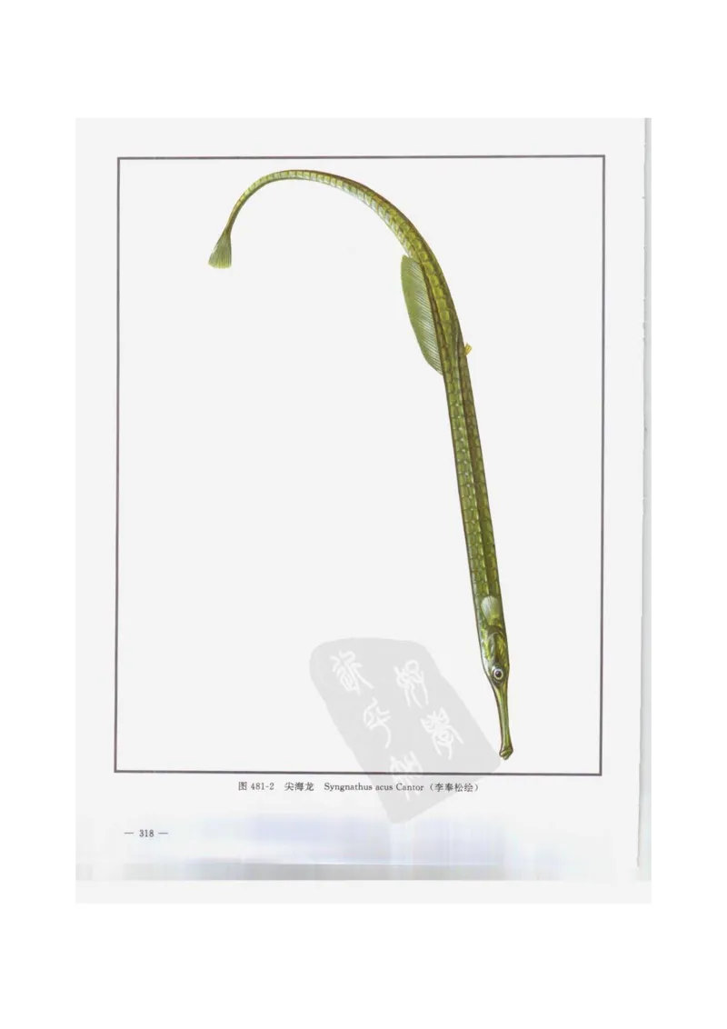 中国本草彩色图鉴（常用中药篇）（下卷）（钱信忠）_绝版书_天涯系列_t涯_绝版古籍电子书合集（13大类）_医书类_中国本草彩色图鉴（常用中药篇）_3册