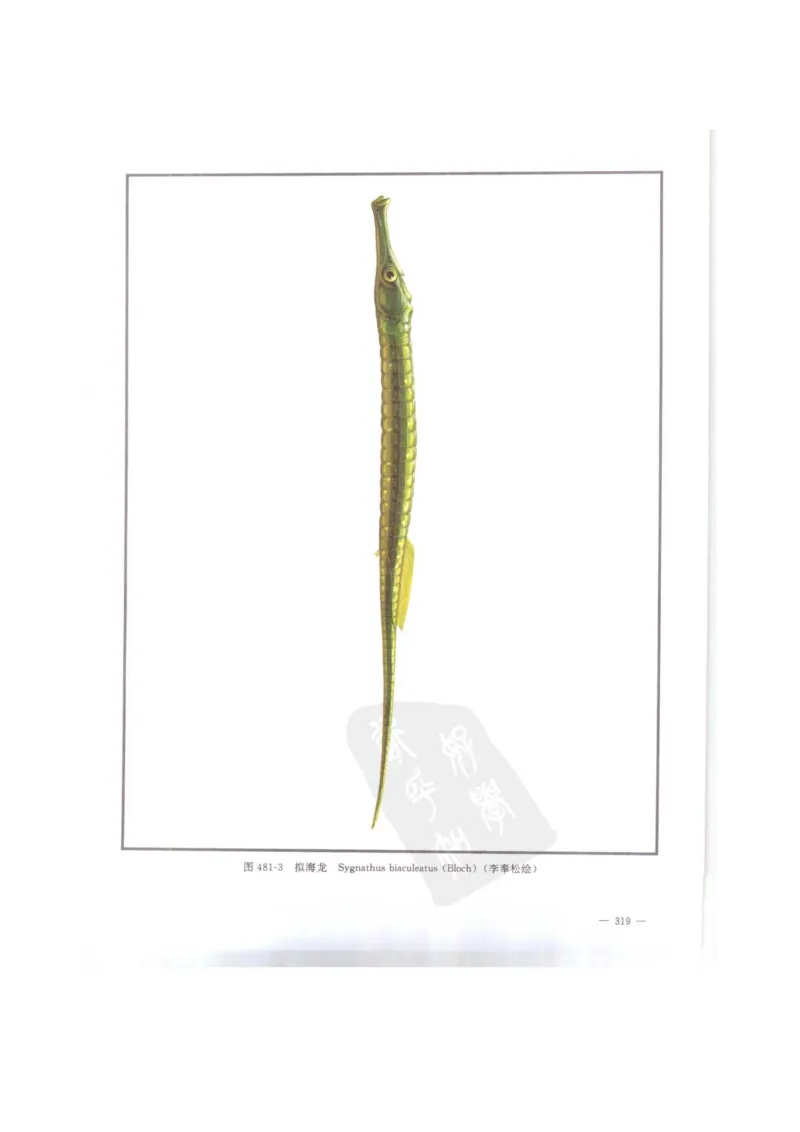 中国本草彩色图鉴（常用中药篇）（下卷）（钱信忠）_绝版书_天涯系列_t涯_绝版古籍电子书合集（13大类）_医书类_中国本草彩色图鉴（常用中药篇）_3册