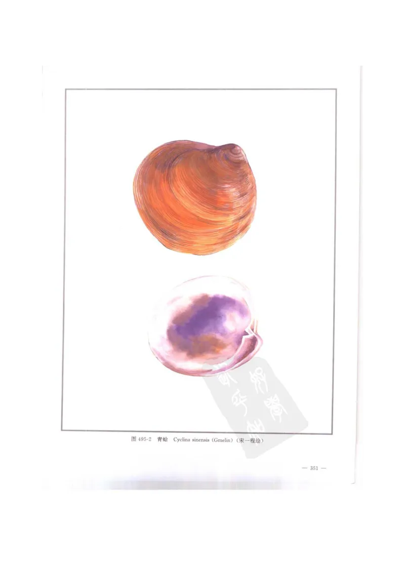 中国本草彩色图鉴（常用中药篇）（下卷）（钱信忠）_绝版书_天涯系列_t涯_绝版古籍电子书合集（13大类）_医书类_中国本草彩色图鉴（常用中药篇）_3册