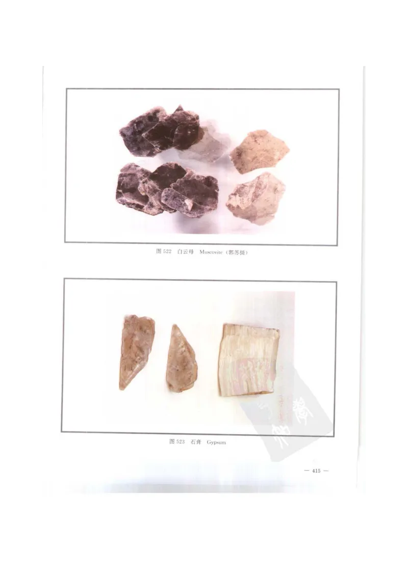 中国本草彩色图鉴（常用中药篇）（下卷）（钱信忠）_绝版书_天涯系列_t涯_绝版古籍电子书合集（13大类）_医书类_中国本草彩色图鉴（常用中药篇）_3册