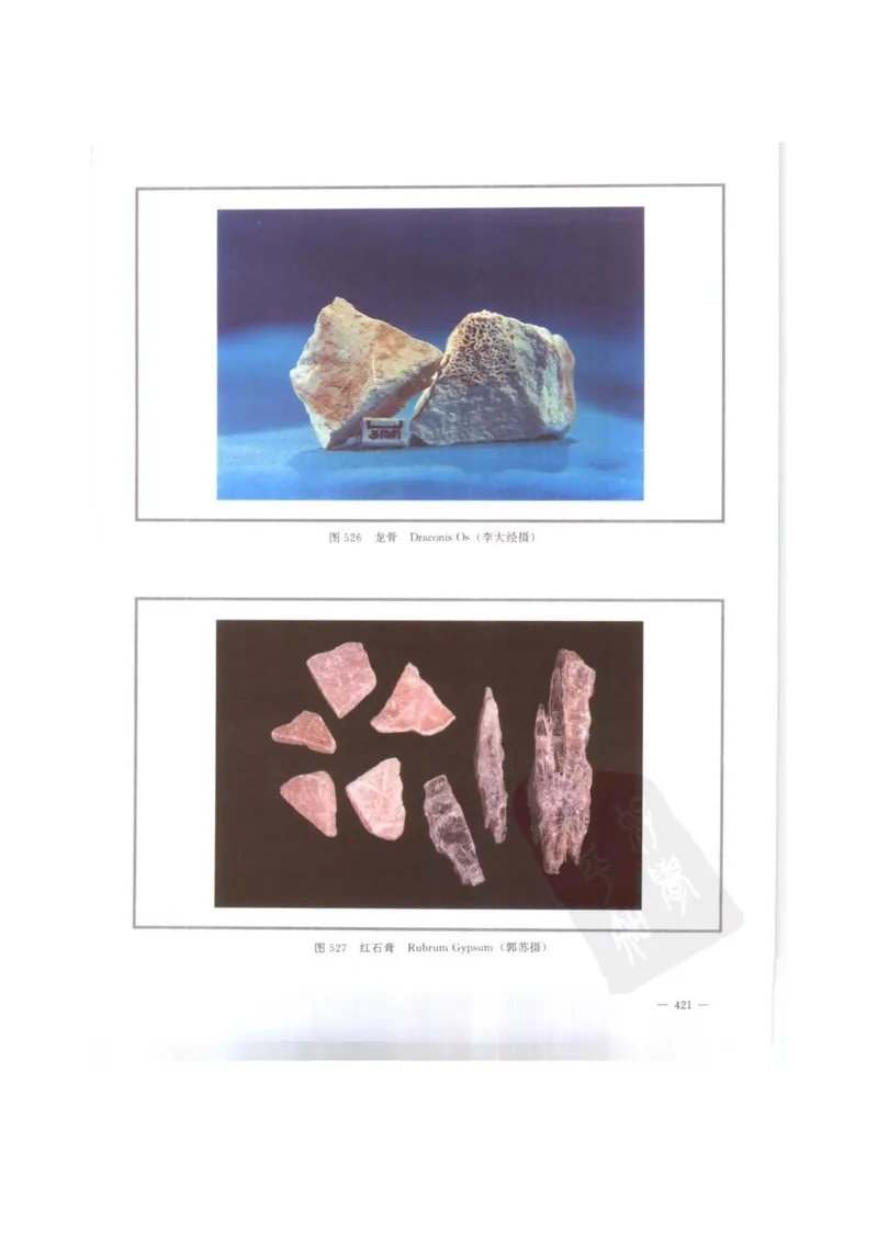 中国本草彩色图鉴（常用中药篇）（下卷）（钱信忠）_绝版书_天涯系列_t涯_绝版古籍电子书合集（13大类）_医书类_中国本草彩色图鉴（常用中药篇）_3册