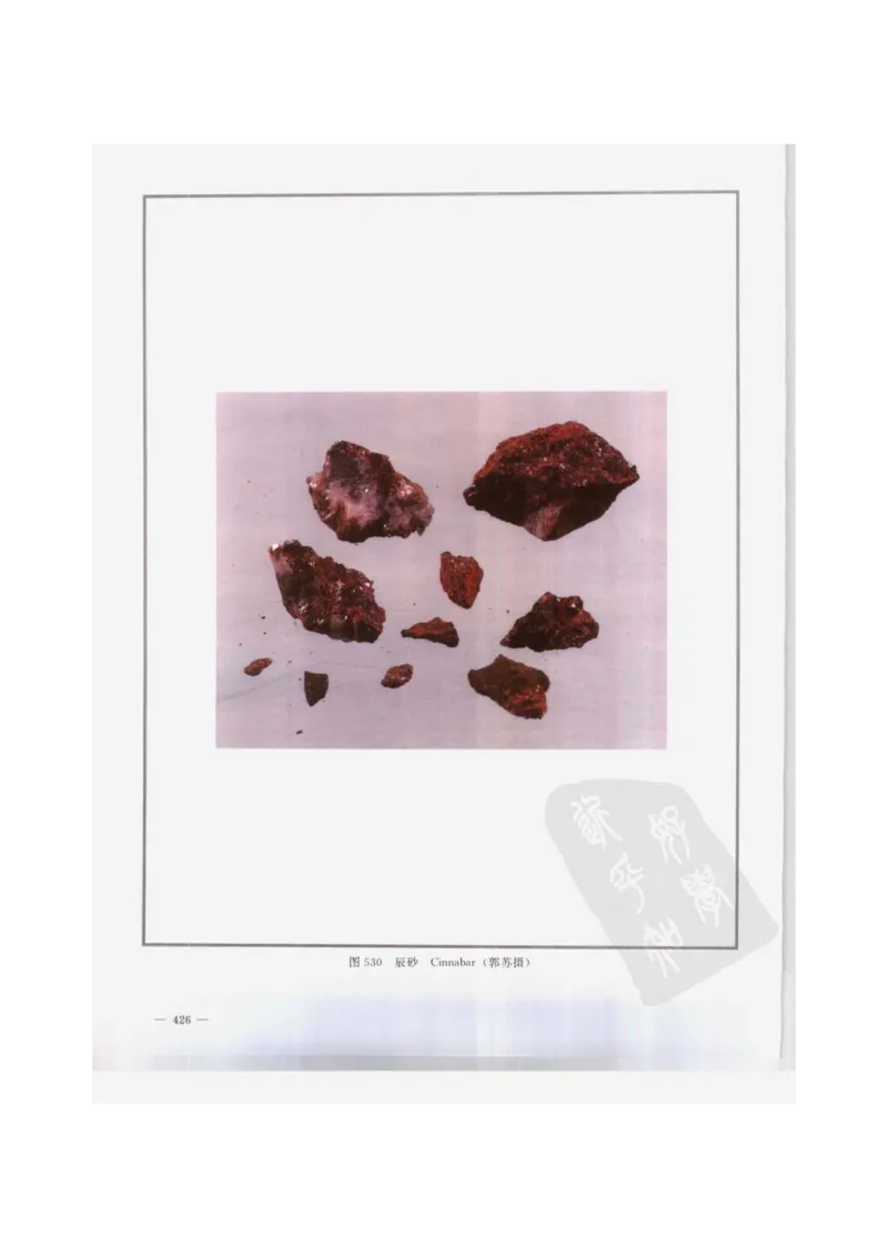 中国本草彩色图鉴（常用中药篇）（下卷）（钱信忠）_绝版书_天涯系列_t涯_绝版古籍电子书合集（13大类）_医书类_中国本草彩色图鉴（常用中药篇）_3册