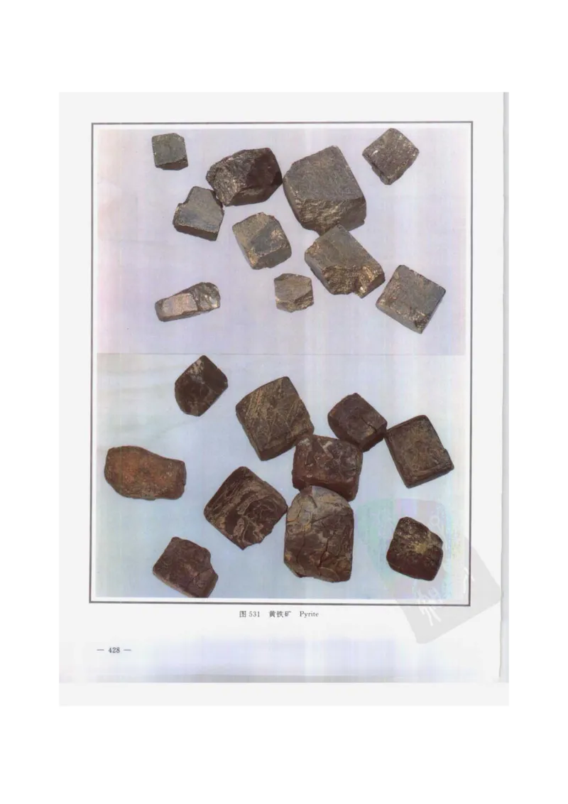 中国本草彩色图鉴（常用中药篇）（下卷）（钱信忠）_绝版书_天涯系列_t涯_绝版古籍电子书合集（13大类）_医书类_中国本草彩色图鉴（常用中药篇）_3册