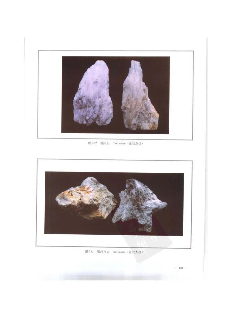 中国本草彩色图鉴（常用中药篇）（下卷）（钱信忠）_绝版书_天涯系列_t涯_绝版古籍电子书合集（13大类）_医书类_中国本草彩色图鉴（常用中药篇）_3册