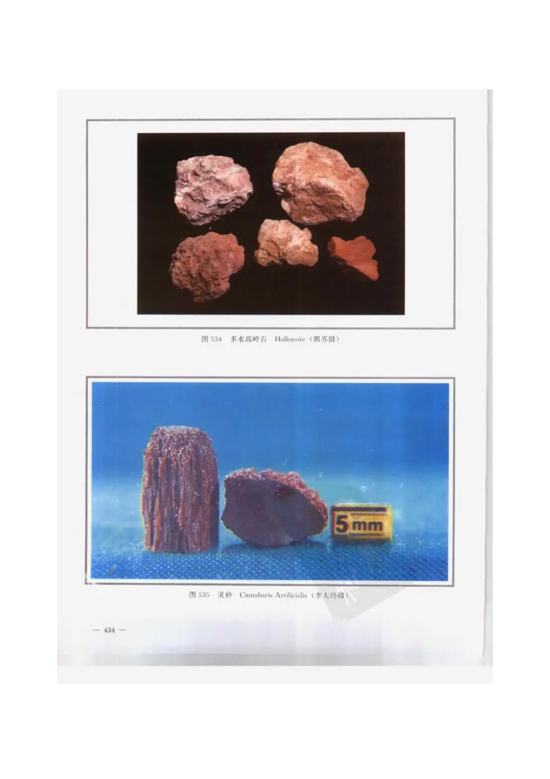 中国本草彩色图鉴（常用中药篇）（下卷）（钱信忠）_绝版书_天涯系列_t涯_绝版古籍电子书合集（13大类）_医书类_中国本草彩色图鉴（常用中药篇）_3册