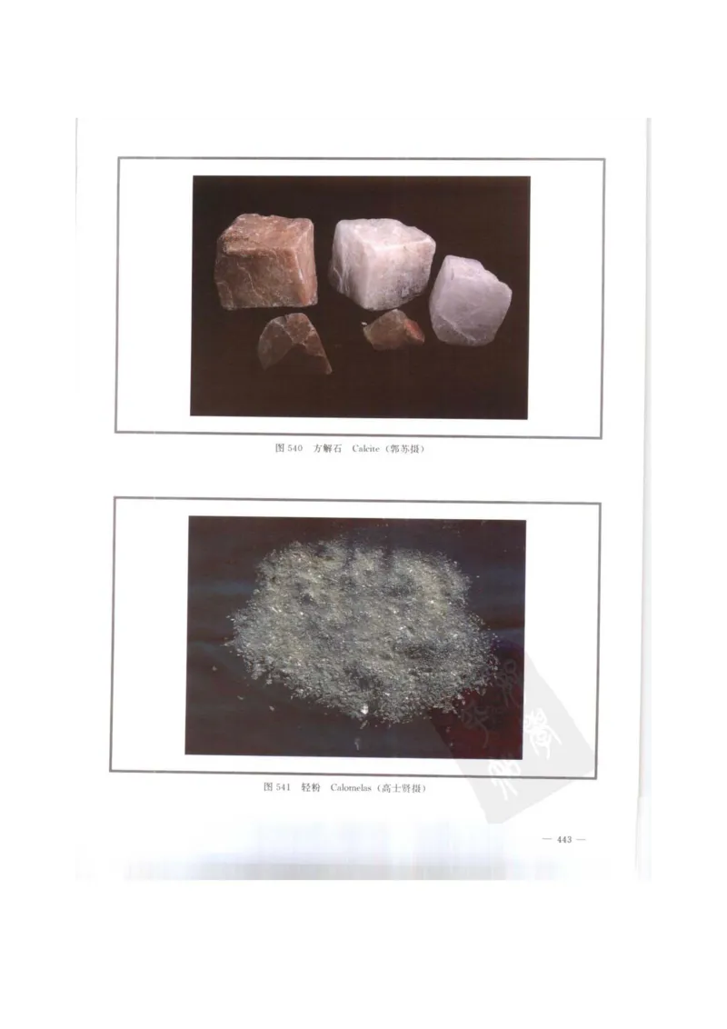 中国本草彩色图鉴（常用中药篇）（下卷）（钱信忠）_绝版书_天涯系列_t涯_绝版古籍电子书合集（13大类）_医书类_中国本草彩色图鉴（常用中药篇）_3册