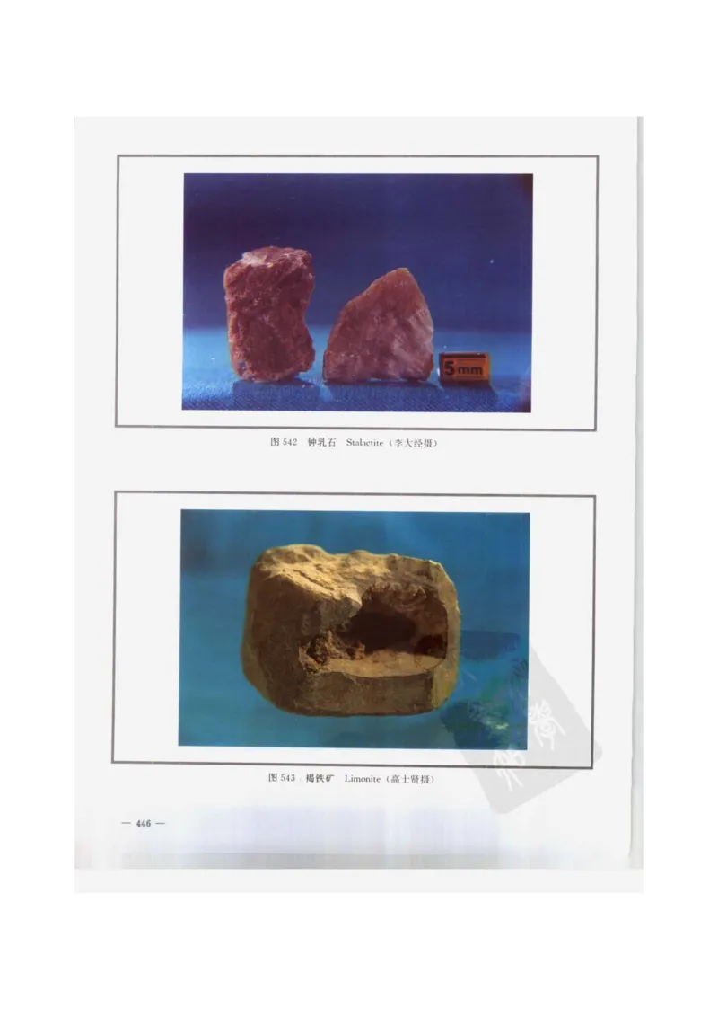 中国本草彩色图鉴（常用中药篇）（下卷）（钱信忠）_绝版书_天涯系列_t涯_绝版古籍电子书合集（13大类）_医书类_中国本草彩色图鉴（常用中药篇）_3册