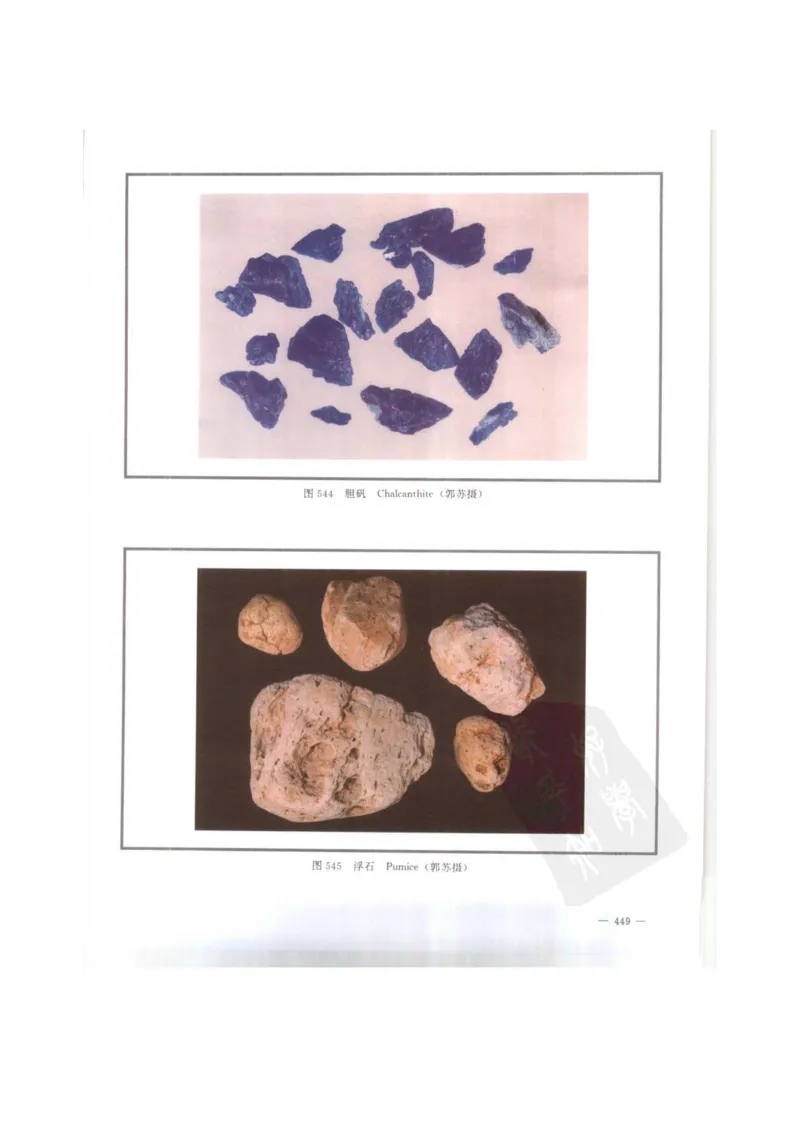 中国本草彩色图鉴（常用中药篇）（下卷）（钱信忠）_绝版书_天涯系列_t涯_绝版古籍电子书合集（13大类）_医书类_中国本草彩色图鉴（常用中药篇）_3册