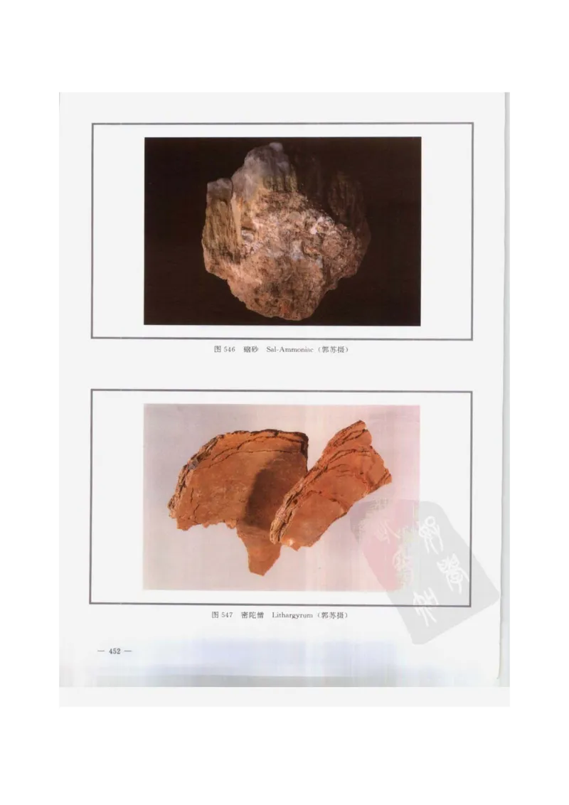 中国本草彩色图鉴（常用中药篇）（下卷）（钱信忠）_绝版书_天涯系列_t涯_绝版古籍电子书合集（13大类）_医书类_中国本草彩色图鉴（常用中药篇）_3册