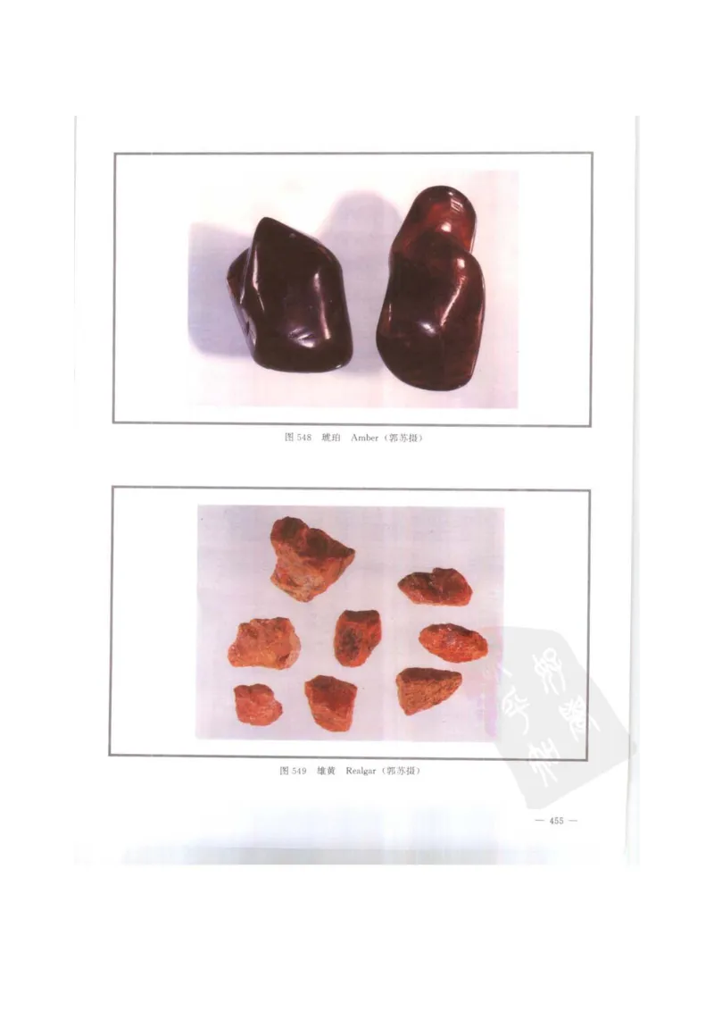 中国本草彩色图鉴（常用中药篇）（下卷）（钱信忠）_绝版书_天涯系列_t涯_绝版古籍电子书合集（13大类）_医书类_中国本草彩色图鉴（常用中药篇）_3册