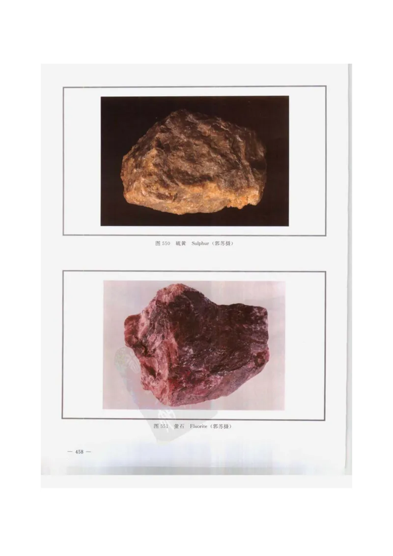 中国本草彩色图鉴（常用中药篇）（下卷）（钱信忠）_绝版书_天涯系列_t涯_绝版古籍电子书合集（13大类）_医书类_中国本草彩色图鉴（常用中药篇）_3册