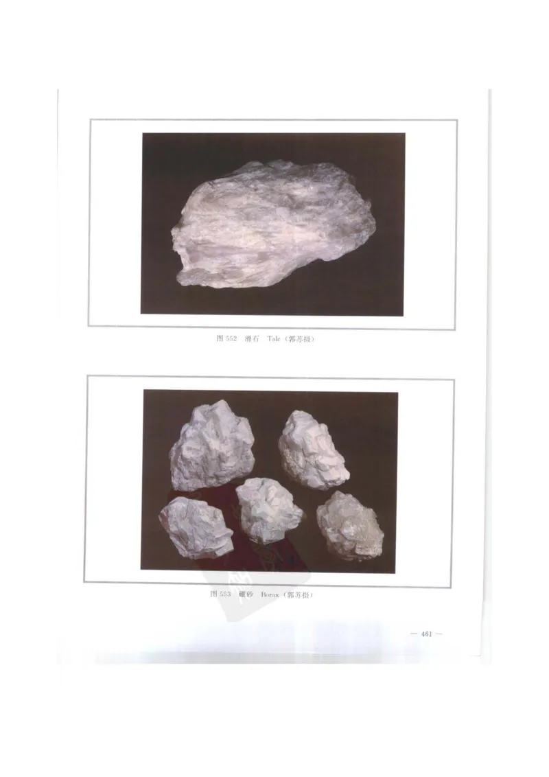 中国本草彩色图鉴（常用中药篇）（下卷）（钱信忠）_绝版书_天涯系列_t涯_绝版古籍电子书合集（13大类）_医书类_中国本草彩色图鉴（常用中药篇）_3册