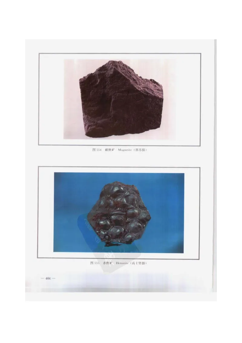 中国本草彩色图鉴（常用中药篇）（下卷）（钱信忠）_绝版书_天涯系列_t涯_绝版古籍电子书合集（13大类）_医书类_中国本草彩色图鉴（常用中药篇）_3册