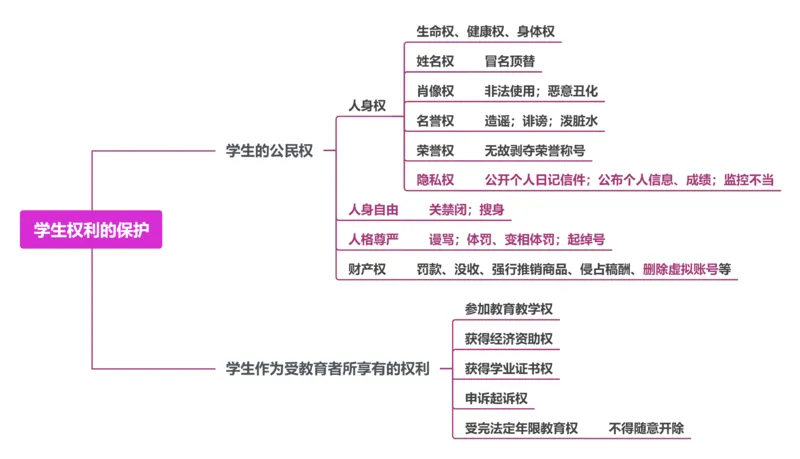6.学生权利的保护_教资_F家2026上教资笔试系统班_26上FB小学教资笔试（更新中）_26上小学-综合素质（更新中）_班级群文件_科目一思维导图